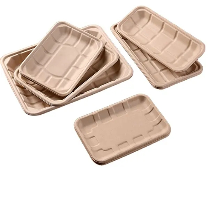 biodegradable tableware from MMCIS China